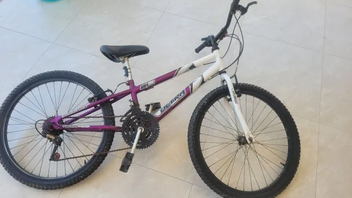Bike 21 marchas aro 24