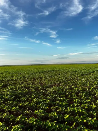 Fazenda a venda