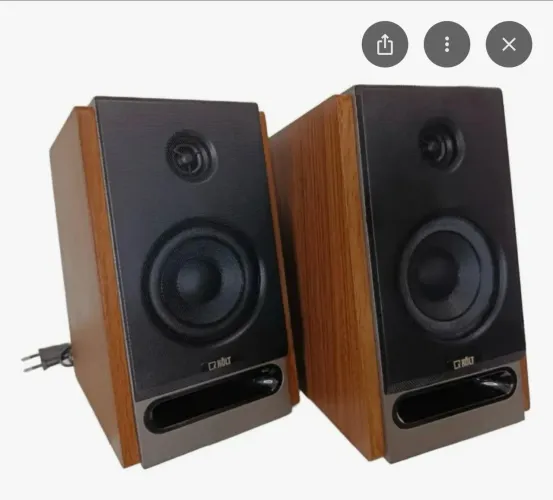 Monitor de áudio- Na caixa