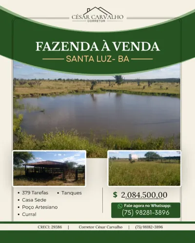 FAZENDA EM SANTA LUZ - 379 TAREFAS