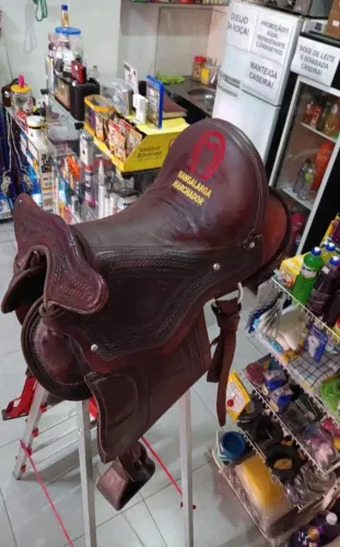 Cela de cavalo 