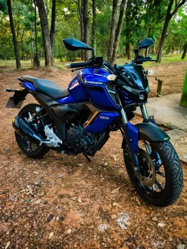 Fz15 2023
