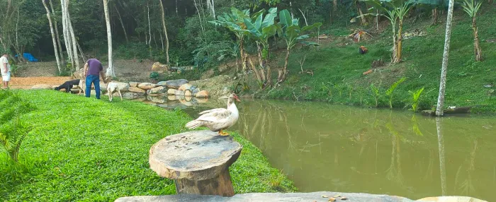 Vendo sítio