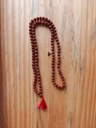 Japamala de Rudraksha Indiano