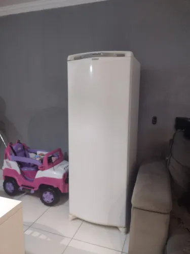 Geladeira Frost Free bem conservada e bem espaçosa