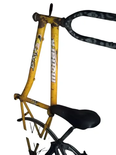 Quadro monark