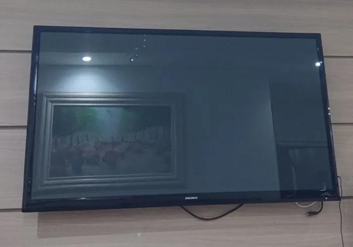 Televisão