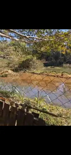 Tela de alambrado mais de 100 metros mais estacas de eucalipto tratado