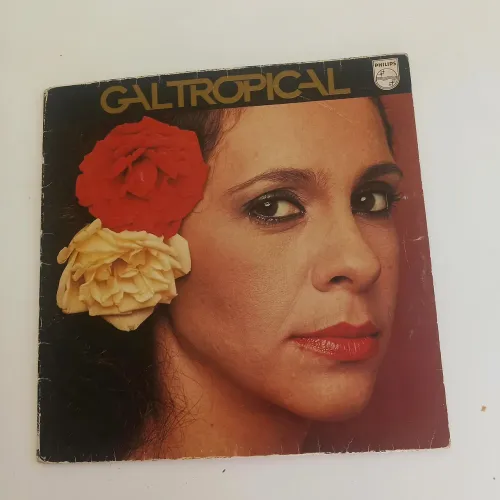Vinis maravilhosos, 50,00 cada!