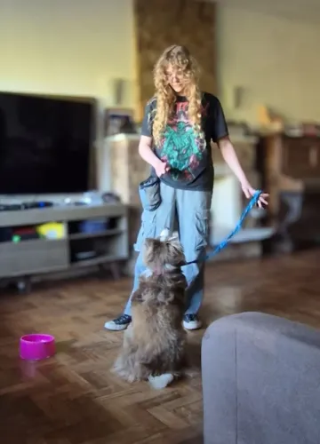 ADESTRAMENTO E COMPORTAMENTO CANINO COM AVALIAÇÃO GRÁTIS | ZONA NORTE E LESTE ? POA