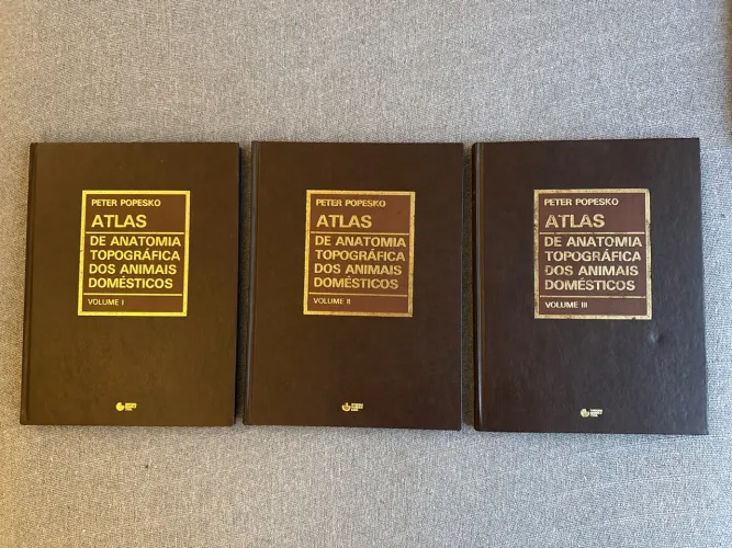 Atlas de anatomia topográfica dos animais domésticos