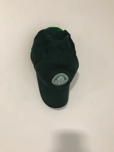 Boné do Palmeiras puma