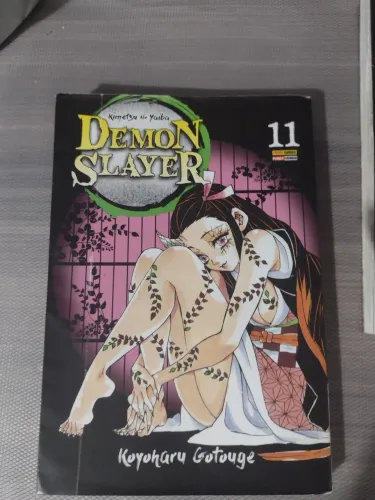 Demon Slayer vol. 11!