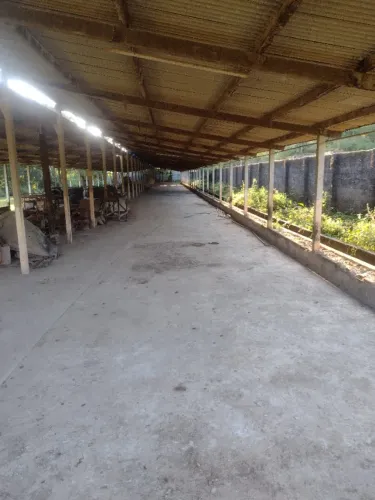 Aluguel de Galpão Comercial/Industrial com 750m² - Ouro Preto, Olinda/PE