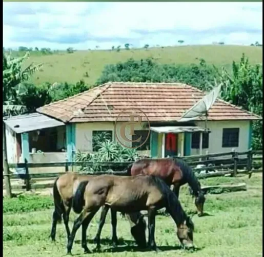 Fazenda dos sonhos em Bom Jardim(MG) 206 Hectares de Tradição,Potencial e Localização Estr