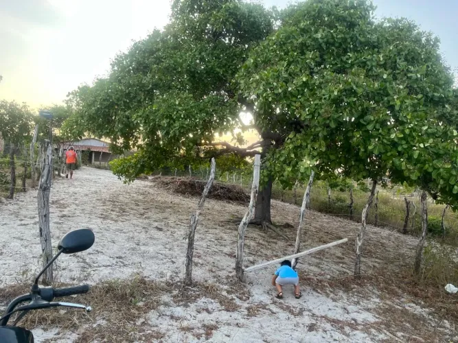 VENDE-SE TERRENO COQUEIRO