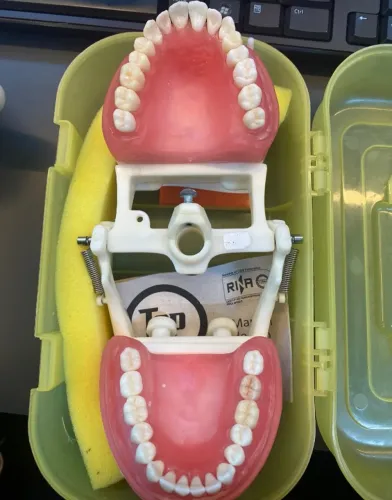 manequim dentistica