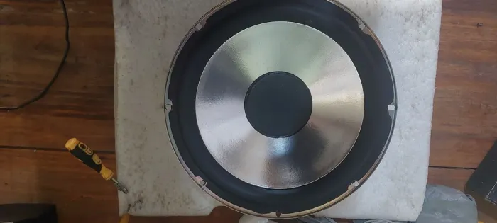 Alto Falante Sony Woofer 10 polegadas