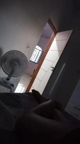 Dividir aluguel /procura