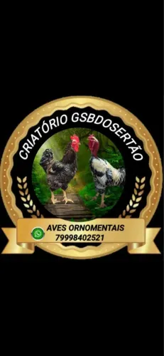 Frangos e ovos polacos com Gsb 