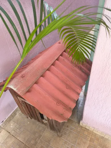 Casa para cachorro 
