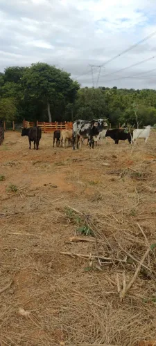 Vemde um sitio