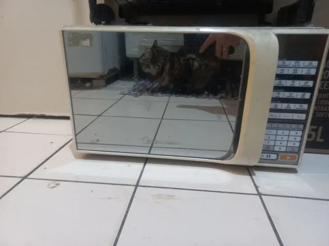 Micro Ondas para peças
