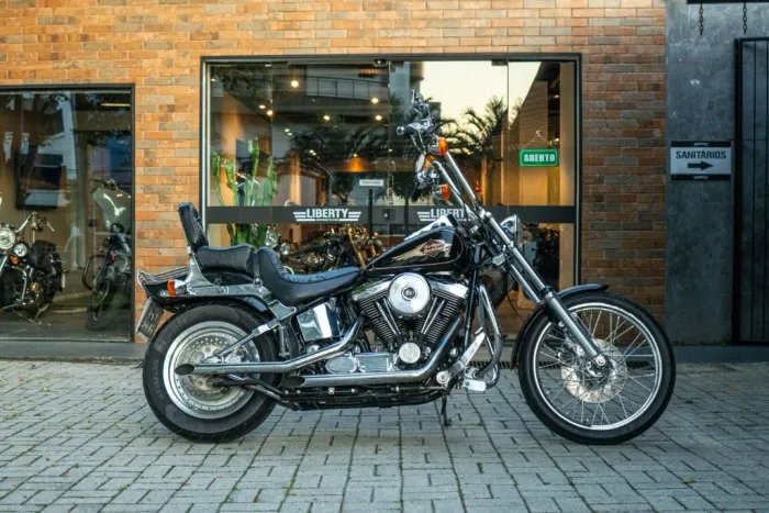 SOFTAIL SPRINGER