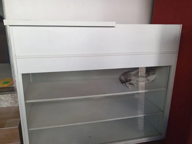 Vendo uma vitrine balcão