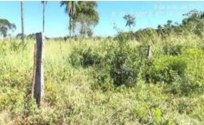 VENDE-SE FAZENDA CARAÇA, ESTREITO - MA DE 143,8000 HECTARES.