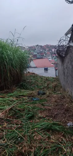 Limpeza de terrenos.