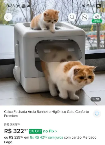 Caixa de Areia fechada Gatos