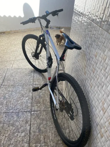 Bicicleta Absolute Aro 29