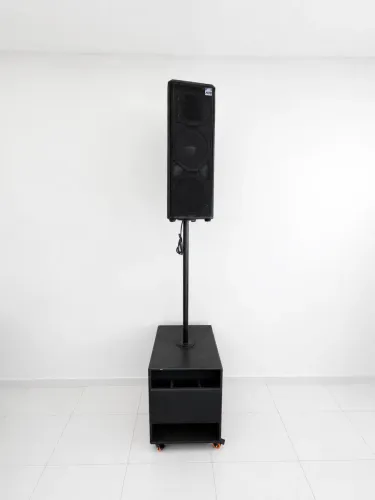 Vendo sub 12 e line falante 8