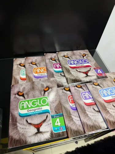 caderno de exercícios de vestibulares anglo
