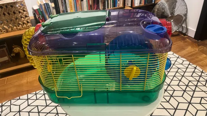 Hamster gaiola 