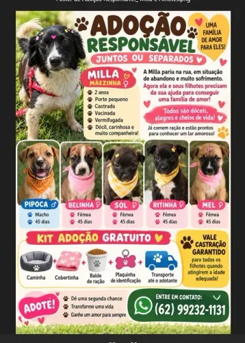 Adoção responsável