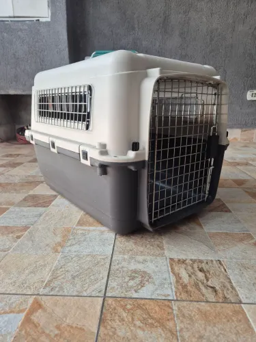 Caixa de Transporte para Cães e Gatos Tamanho M - Padrão IATA