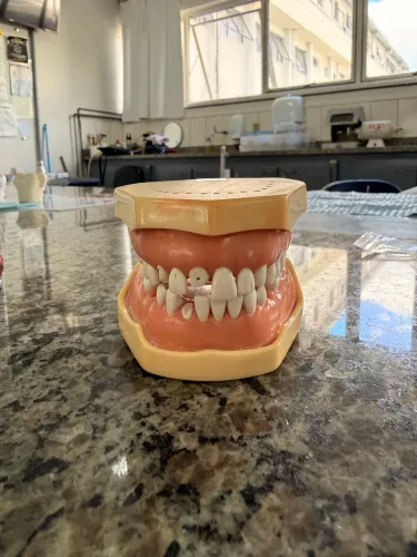 Manequim MOM dentistica