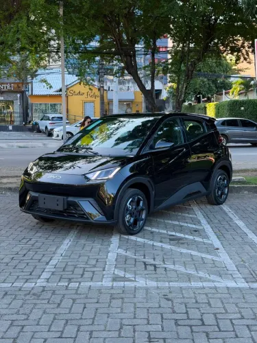 BYD Dolphin Mini (Elétrico) 2027