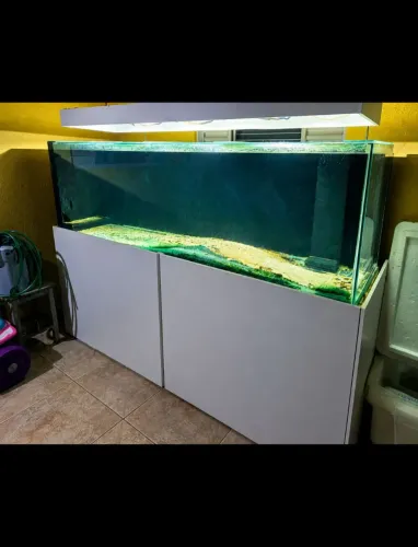 Vendo lindo aquario jumbo 2.20x60x60