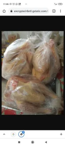 Pato Abatido Sob Encomenda.