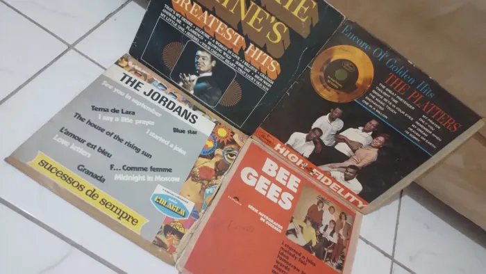 Lote de discos vinil