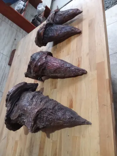 Nó de pinheiro prá decoração 