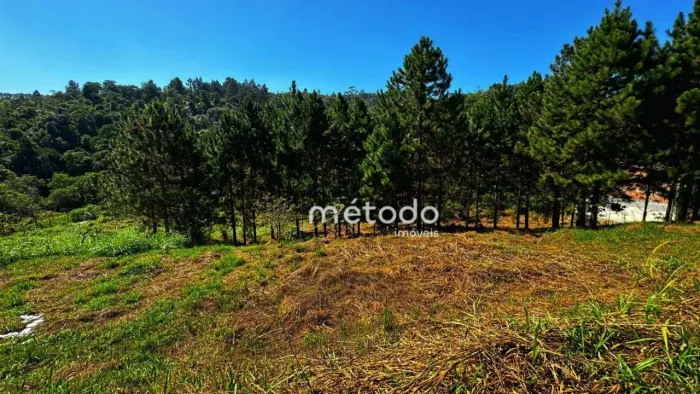 Terreno à venda, 10068 m² por R$ 295.000,00 - Ponte Alta - Guararema/SP