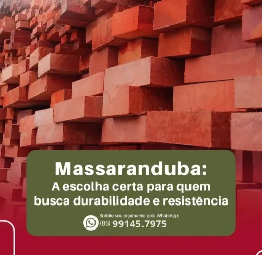 LINHA MASSARANDUBA APARTIR DE $23,41 AVISTA
