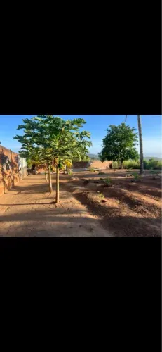 Rancho Rural - BANANEIRAS