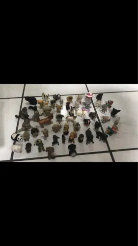 Coleção de Raças De Cachorro 52 raças