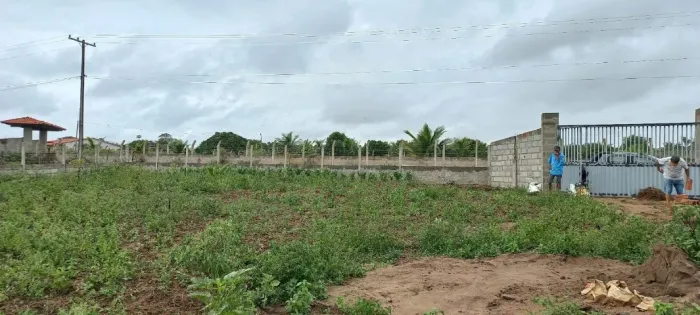Uma tarefa de terra situado na formiga