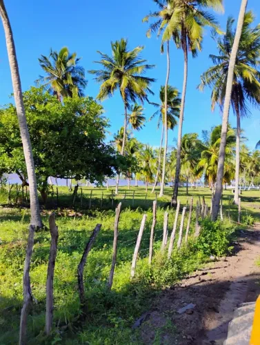 Fazenda Pontal - Sergipe - 600.000 m² - Oportunidade de Investimento